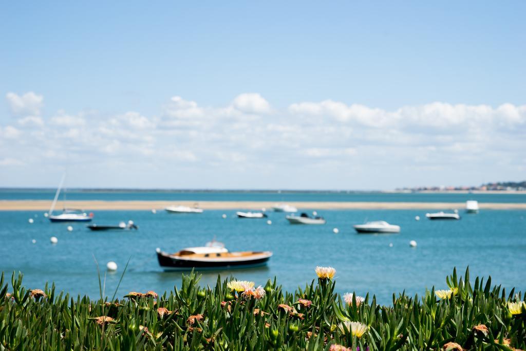 Ferret Vigne - Villa Chambres D'Hotes Lège-Cap-Ferret Екстериор снимка
