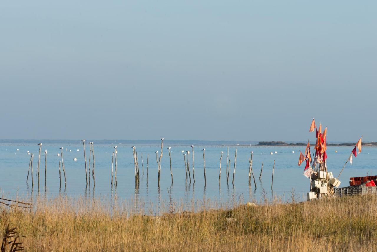 Ferret Vigne - Villa Chambres D'Hotes Lège-Cap-Ferret Екстериор снимка